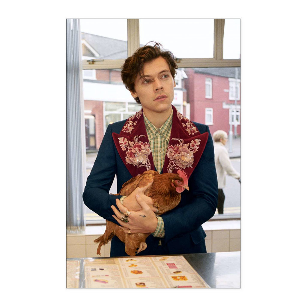 harry styles 11x17