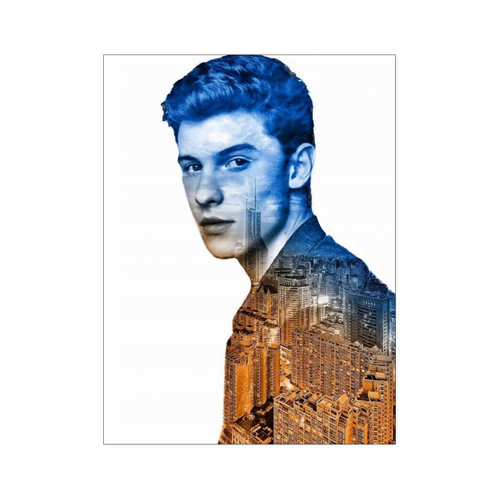 Shawn Mendes 18x24