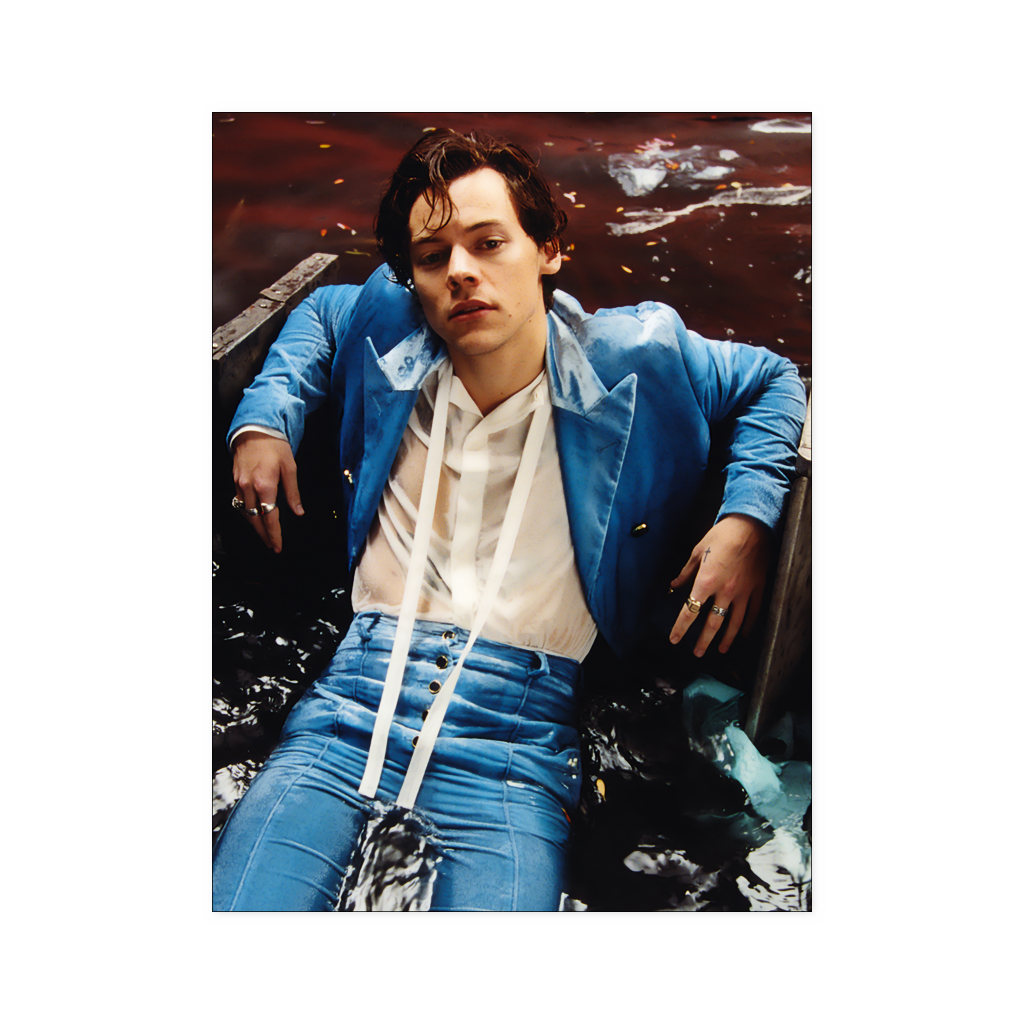 harry style - linh