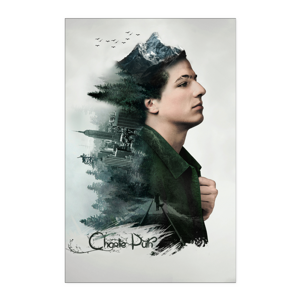 Charlie Puth double exp 11x17