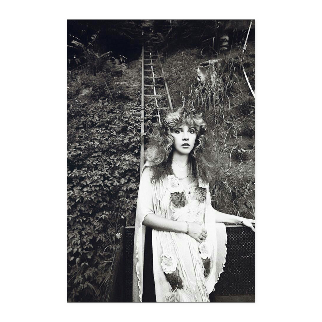 Stevie Nicks 24x36 final