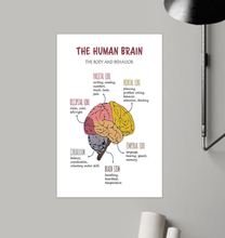 01-PT-2909-Purple-VV-11*17