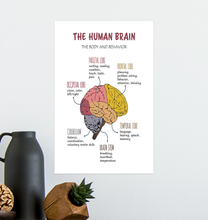 01-PT-2909-Purple-VV-11*17