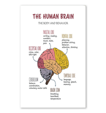 01-PT-2909-Purple-VV-11*17