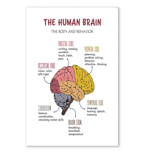 01-PT-2909-Purple-VV-24*36