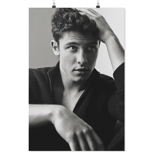 Shawn dat tay len dau 24x36