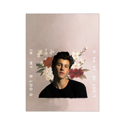 shawn Mendes 18x24