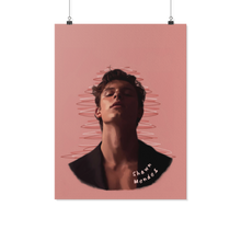 shawn - linh 8