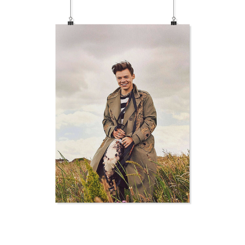 Harry Style one 18x24