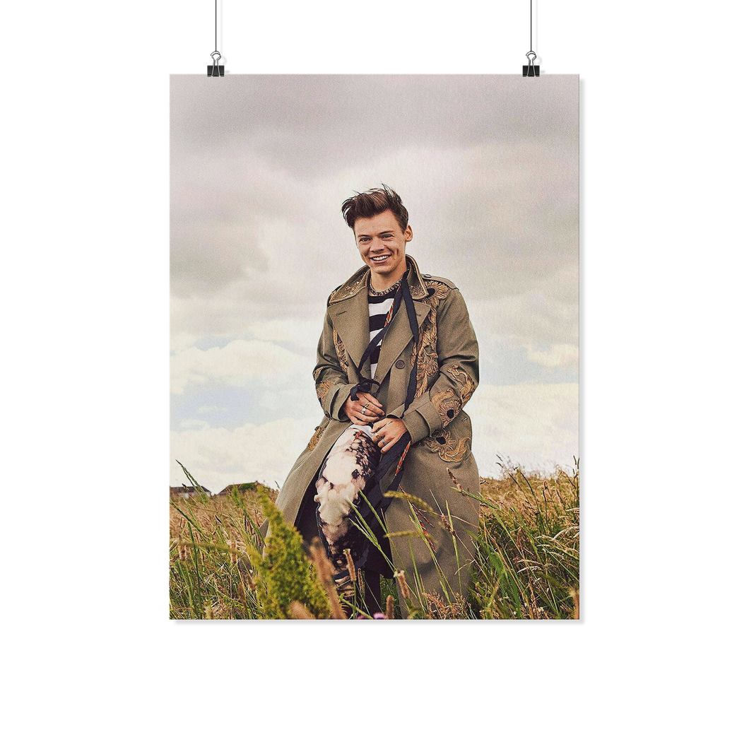 Harry Style one 18x24