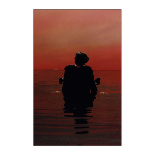 hary styles kanh