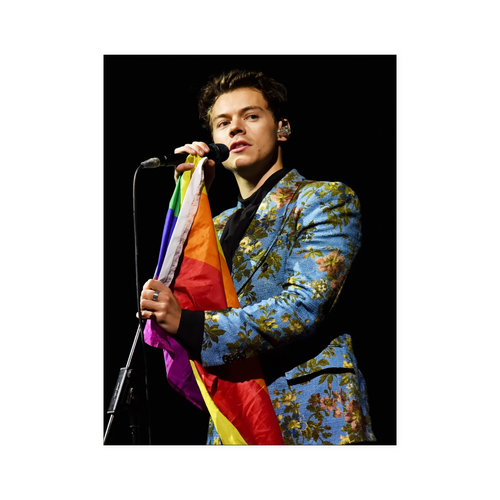 harry style - linh 2