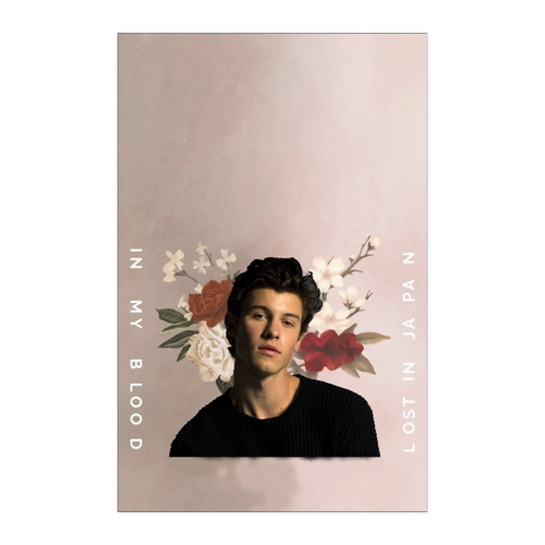 shawn Mendes 11x17