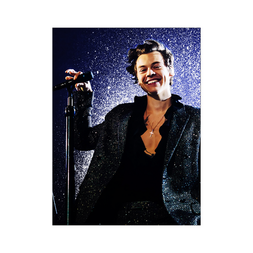 harry style - linh7