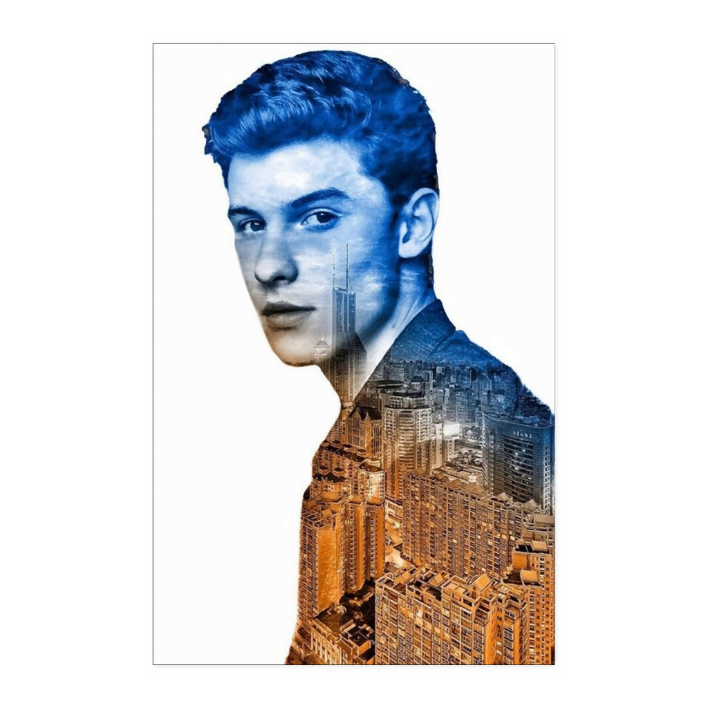 shawn Mendes 11x17