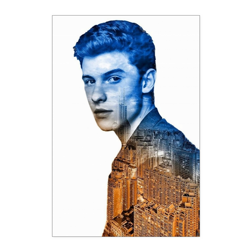 Shawn Mendes 24x36