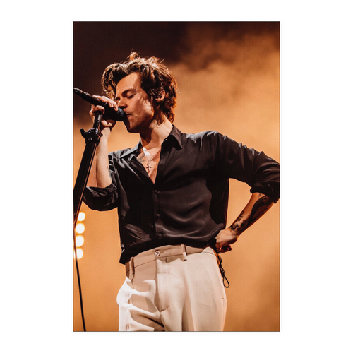 Harry Styles 24x36 NA