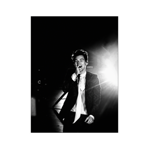 harry style - linh8
