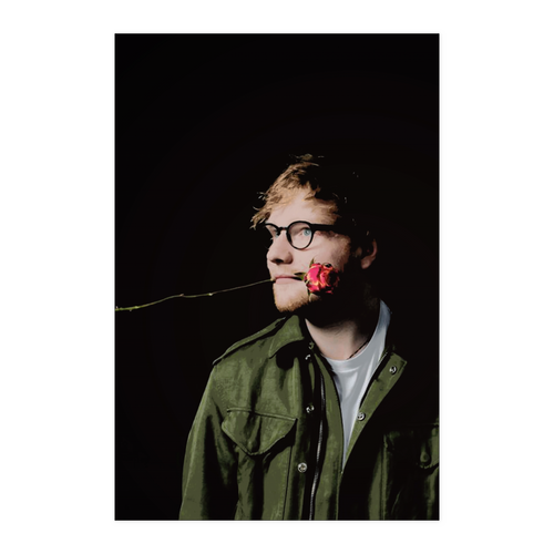 Ed Sheeran rose 24x36