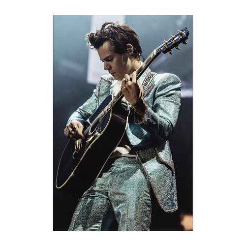 Harry Styles 11x17 NA