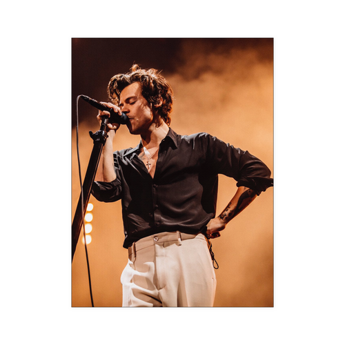 Harry Styles 18x24 NA