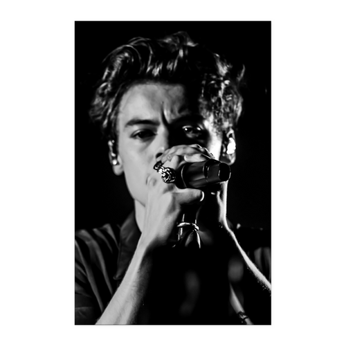 harry style - linh11