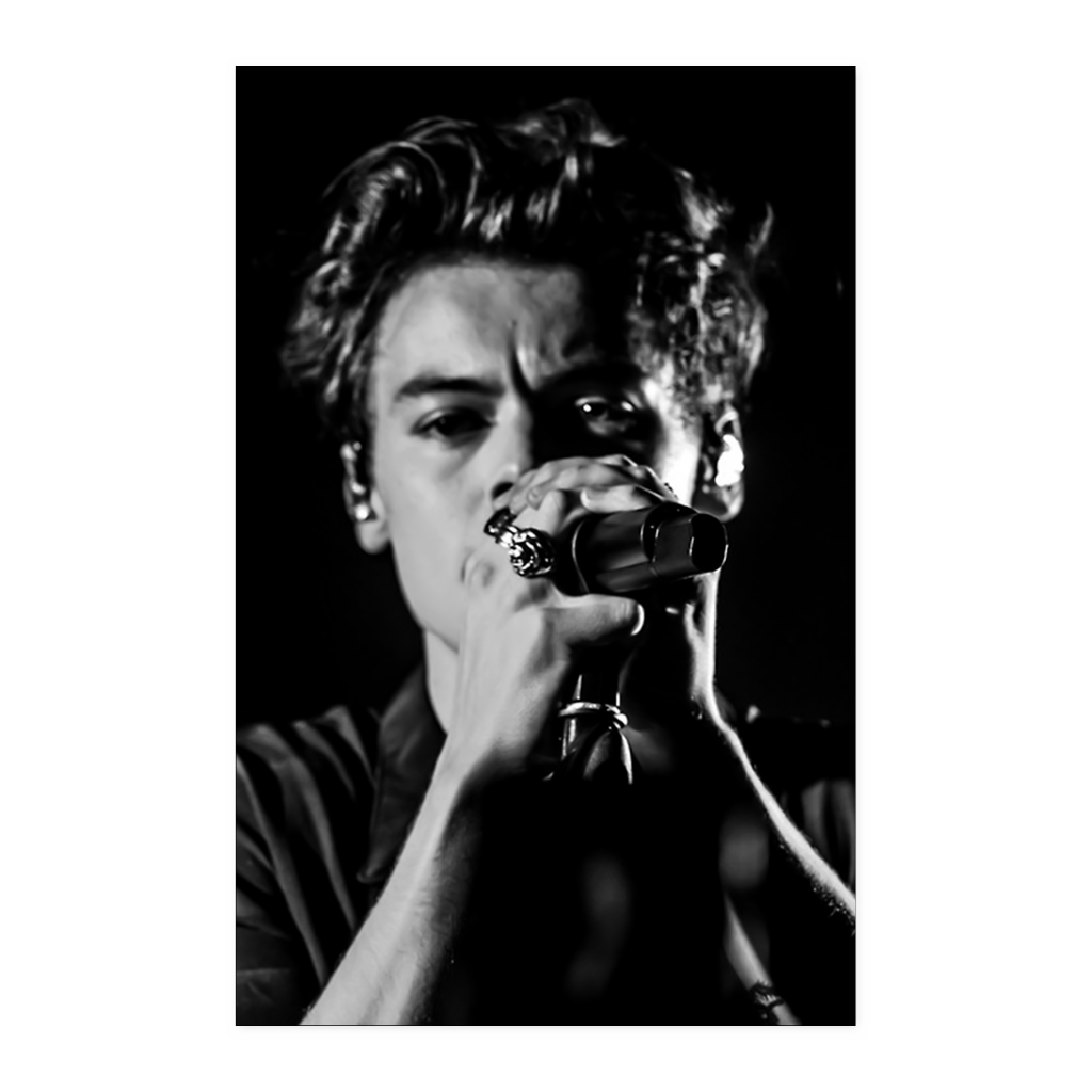 harry style - linh11
