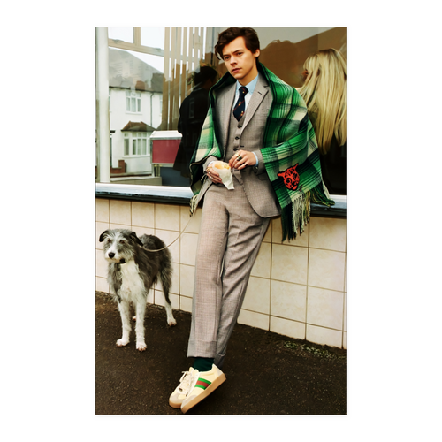 harry style - linh9