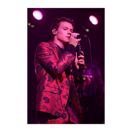harry style - linh6