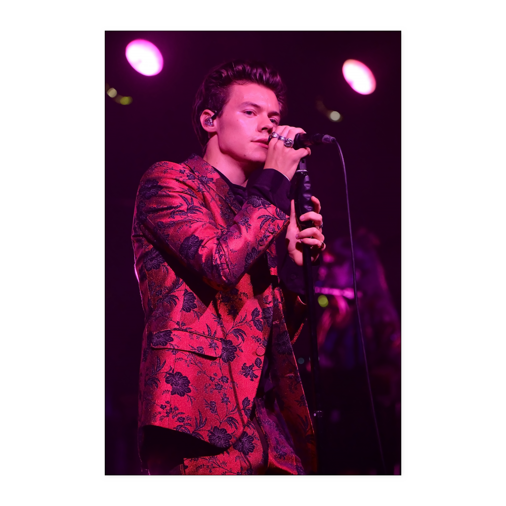 harry style - linh6