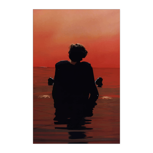 Harry sign of the time 11x17