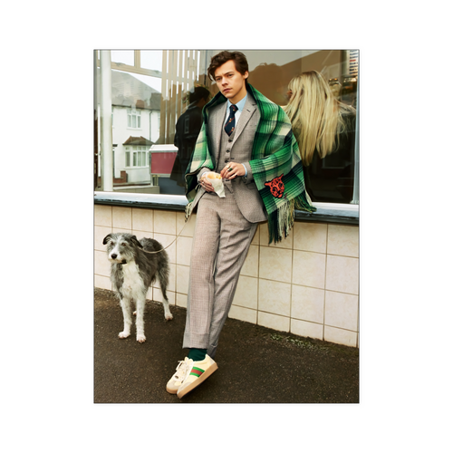 harry style - linh 3