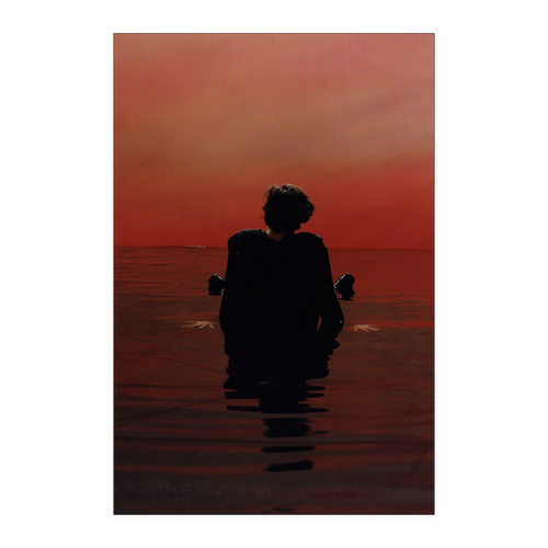 hary styles kanh