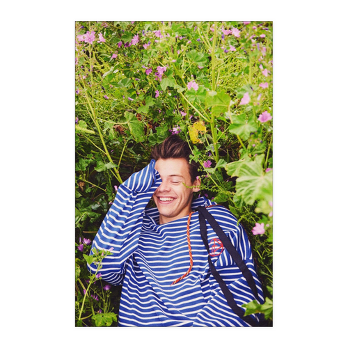 Harry lie on grass 11x17