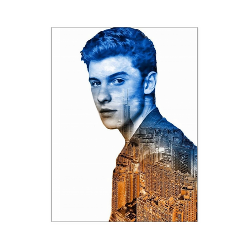 Shawn Mendes 18x24