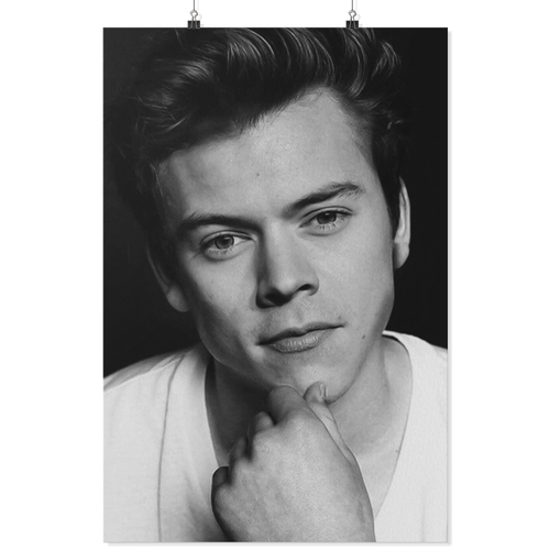 HARRY STYLES FACE BNW 24X36