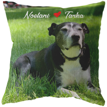 TG-DUONG-PL3-1611-NOEL AND TARKA