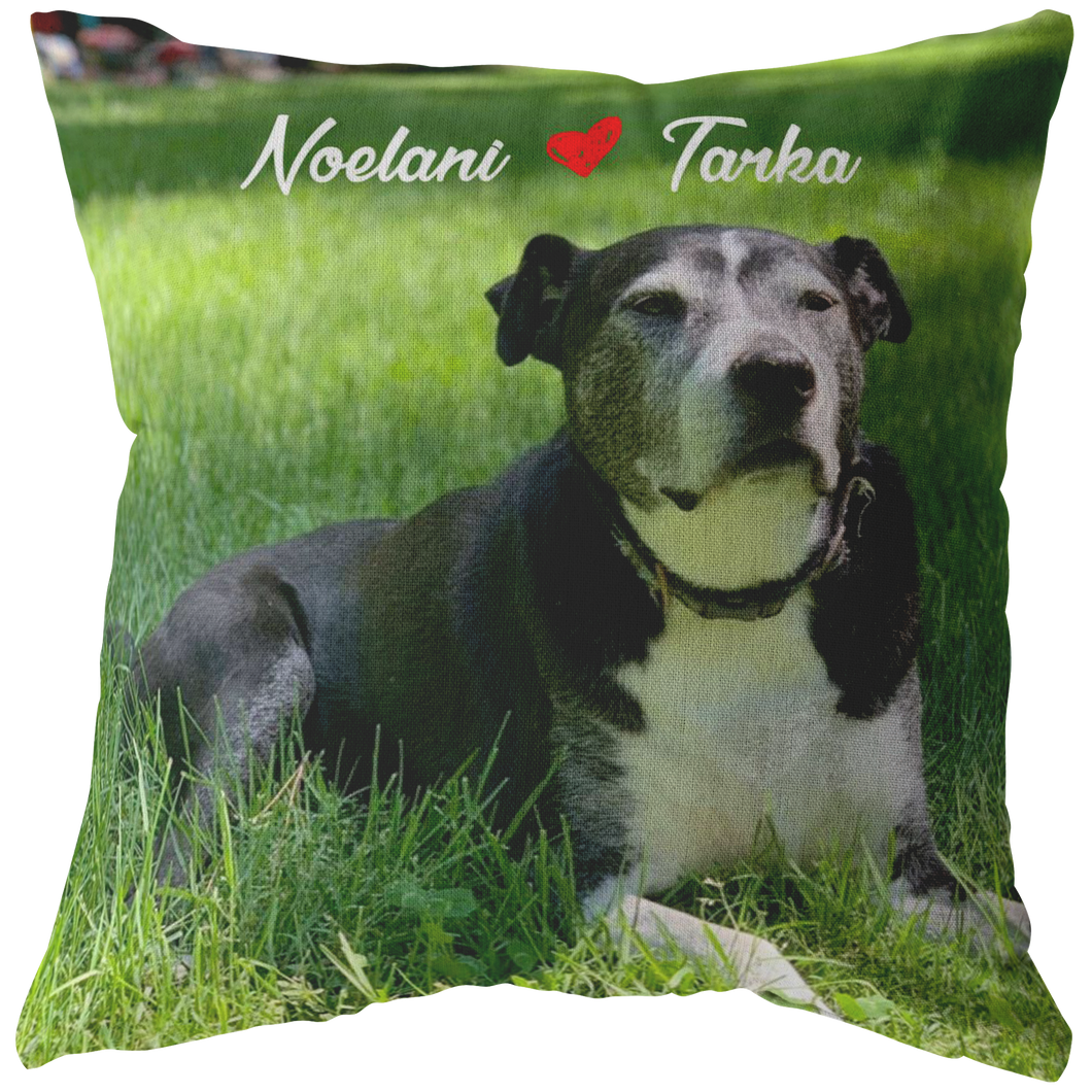 TG-DUONG-PL3-1611-NOEL AND TARKA