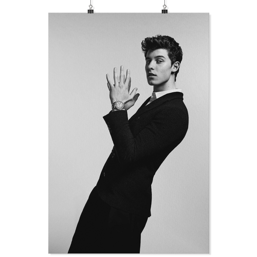 shawn mendes dung 24x36