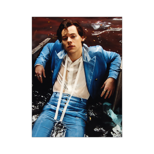 harry style - linh