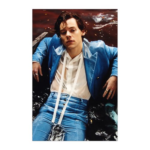 harry style - linh10