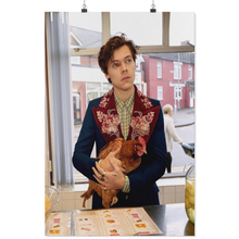 Harry Style 24x36