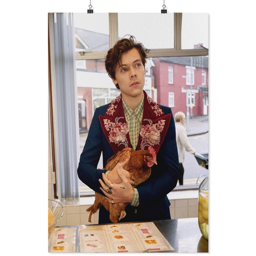 Harry Style 24x36