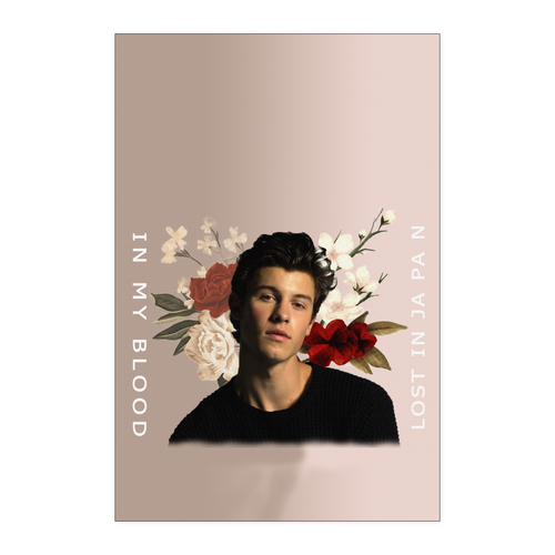 shawn Mendes 24x36 NA