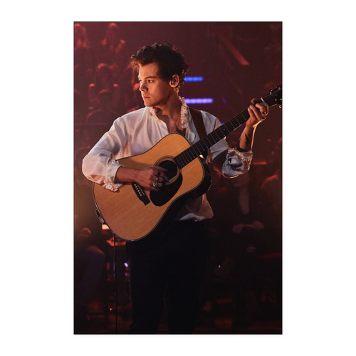 Harry Styles 24x36 NA