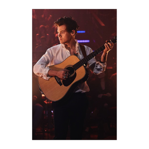 Harry Styles 11x17 NA