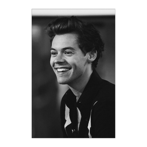 Harry styles bnw xoay mat 11x17 nhung