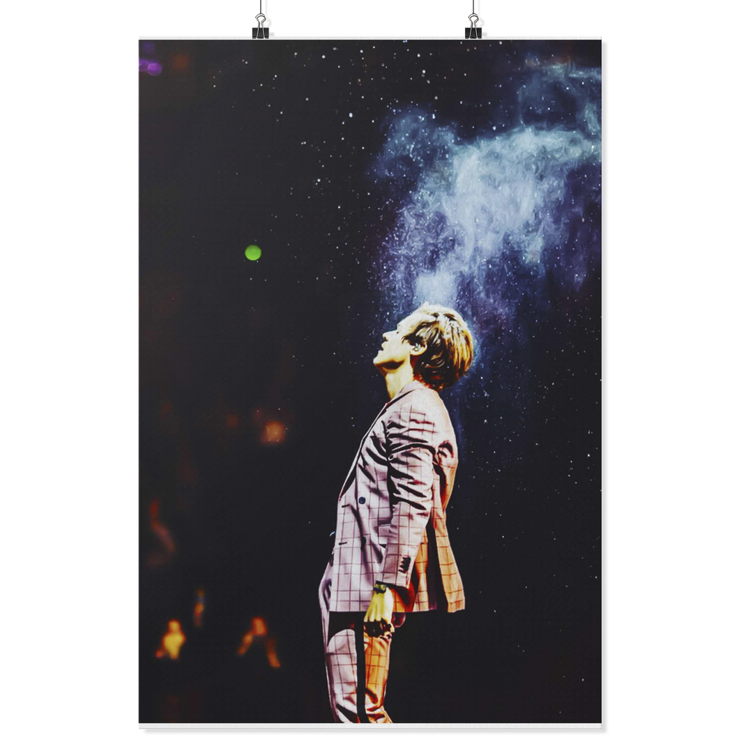 harry styles stage 24x36