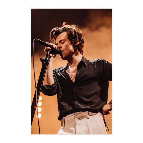 Harry Styles  NA 11x17