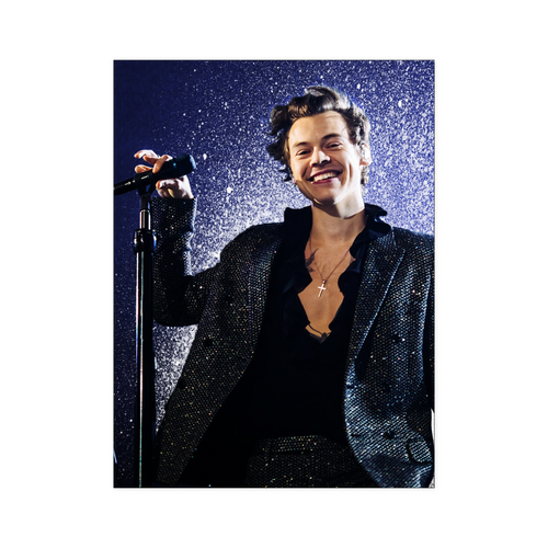 harry style - linh12